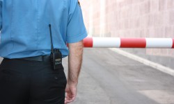 Etiam commodo convallis